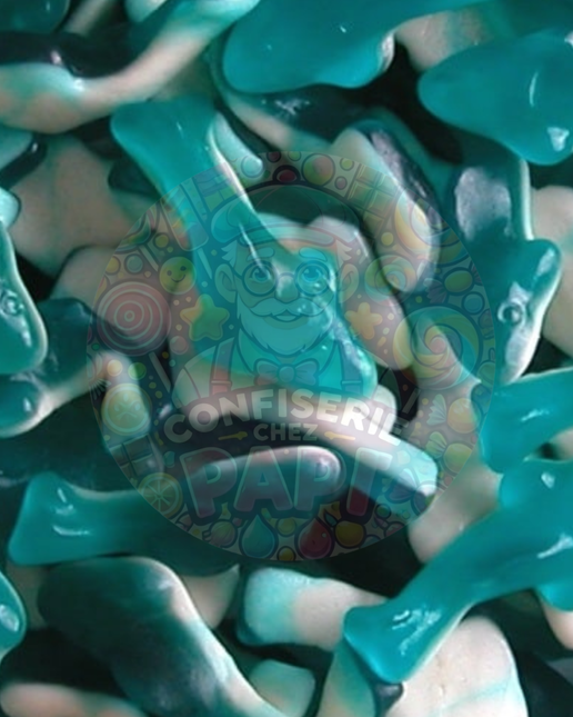 118. Requins à la gelée