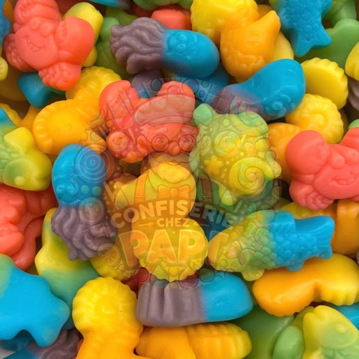 13. Bonbon océan