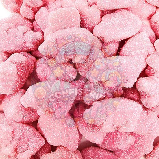 31. Cochons rose surette